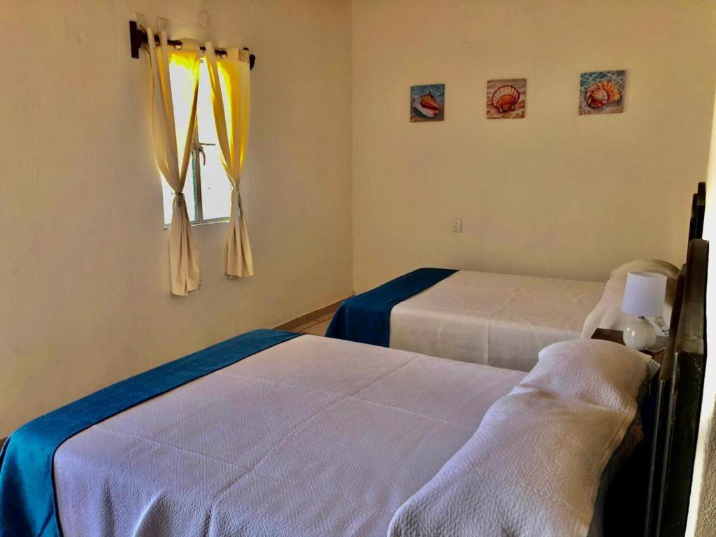 La Pucca Hotel Boutique Resort Penita de Jaltemba Eksteriør billede