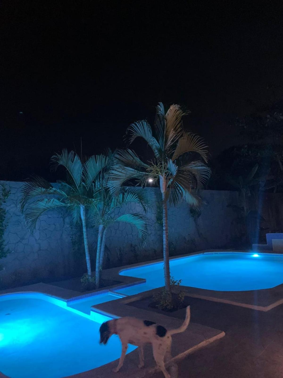 La Pucca Hotel Boutique Resort Penita de Jaltemba Eksteriør billede